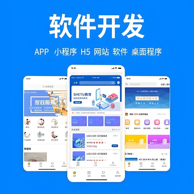 定制化软件开发：打造企业核心竞争力