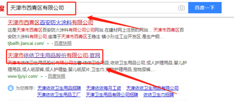 软件定制开发：企业成长的加速引擎